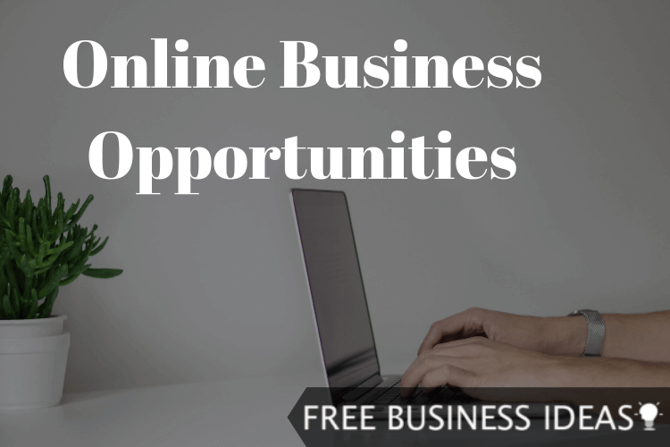 online business opportunities