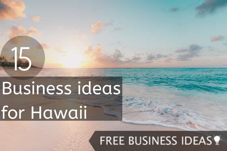 business ideas for hawaii