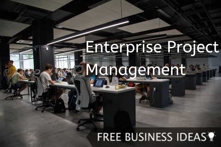 enterprise project management