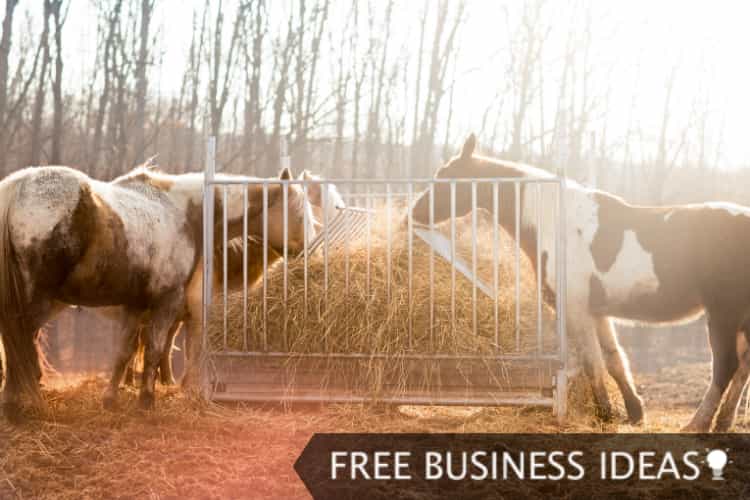 animal feed manufacturer