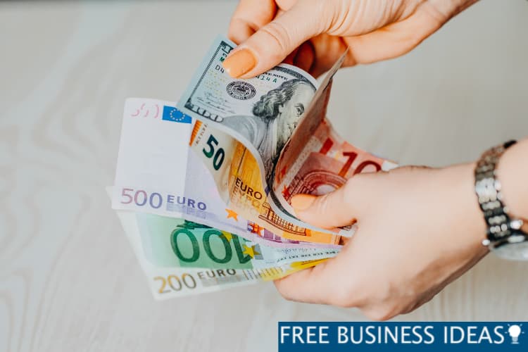Euro Notes