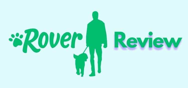 rover.com review