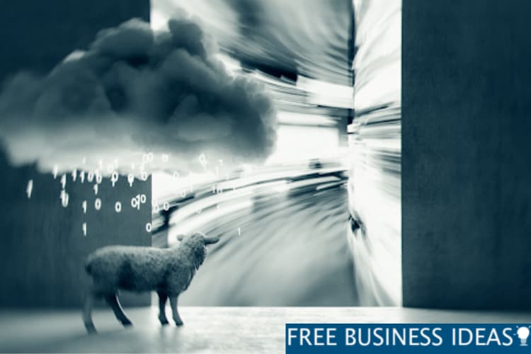 Cyber Sheep