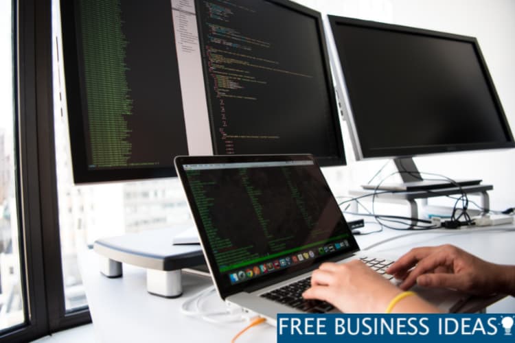 Software Development