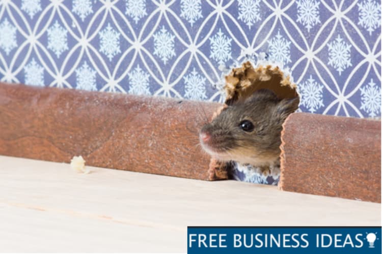 Rodent Proofing