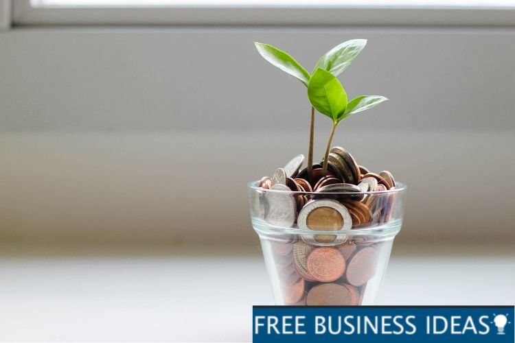Money in Saving Account